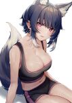  1girl animal_ear_fluff animal_ears black_shorts blue_hair blush breasts cleavage extra_ears fang feet_out_of_frame highres ihachisu large_breasts looking_at_viewer medium_hair midriff navel open_mouth original pink_hair shorts simple_background sitting skin_fang solo sweatdrop tail tank_top underbust white_background wolf_ears wolf_girl wolf_tail 