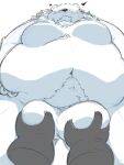  2022 anthro belly big_belly blush grope hi_res humanoid_hands kemono male mammal marumaru_hh moobs navel overweight overweight_male sketch solo_focus ursid 