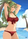  1girl alternate_costume arms_up beach bikini breasts cleavage english_commentary fire_emblem fire_emblem_awakening fire_emblem_heroes gold_choker green_eyes green_hair highres long_hair looking_at_viewer medium_breasts navel official_alternate_costume open_mouth outdoors palm_tree pointy_ears ponytail red_bikini red_swimsuit sakuremi smile solo swimsuit tiki_(fire_emblem) tree 