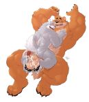  absurd_res anthro arms_above_head balls belly big_penis bodily_fluids body_hair butt canid canine canis chest_hair chest_tuft claws cum cum_drip cum_on_penis dripping duo foot_fetish foot_play footjob fur genital_fluids genitals glans grey_body grey_fur hands_behind_head hi_res kumamoto_(character) looking_back looking_down looking_pleasured male male/male mammal muscular_chubby orange_body orange_fur penis pubes raised_arms saliva salivating sex simple_background size_difference slightly_chubby smile takemoto_arashi toe_claws tuft ursid vein veiny_penis white_background wolf 