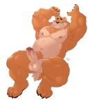  2022 4_fingers absurd_res arms_above_head balls body_hair chest_hair chest_tuft claws fingers fur genitals glans hands_behind_head hi_res kumamoto_(character) looking_down looking_pleasured male mammal muscular_chubby nipples orange_body orange_fur penis pubes raised_arms simple_background slightly_chubby smile solo takemoto_arashi toe_claws tuft ursid vein veiny_penis white_background 