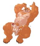  2022 4_fingers 4_toes absurd_res anthro arms_above_head balls belly bodily_fluids body_hair chest_hair chest_tuft claws cum feet fingers fur genital_fluids genitals glans hands_behind_head hi_res kumamoto_(character) looking_down looking_pleasured male mammal muscular_chubby nipples orange_body orange_fur penis pubes raised_arms saliva salivating simple_background slightly_chubby smile solo takemoto_arashi toe_claws toes tuft ursid vein veiny_penis white_background 