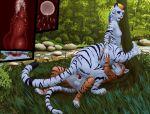  anthro duo felid female lemurlemurovich male male/female mammal pantherine taur tiger 
