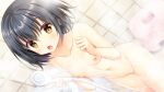  1girl :o ambitious_mission bangs bath_stool black_hair blush breasts completely_nude feet_out_of_frame game_cg highres holding holding_shower_head indoors ishikawa_yae moribe_(rabumanyo) navel nipples nude official_art open_mouth photoshop_(medium) short_hair shower_(place) shower_head showering small_breasts solo spraying standing stool tile_wall tiles water wet yellow_eyes 