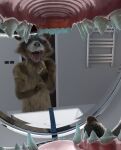  anthro brown_body brown_fur finger_in_mouth first_person_view fur guardians_of_the_galaxy hi_res looking_at_viewer male mammal marvel mirror open_mouth procyonid raccoon rocket_raccoon solo tawzy teeth vore white_body white_fur 