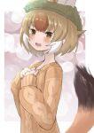  1girl alternate_costume animal_ears blush brown_eyes dhole_(kemono_friends) dog_ears dog_girl dog_tail ears_through_headwear extra_ears gaga_(gamerakero) green_headwear hat highres kemono_friends kemono_friends_3 light_brown_hair long_sleeves multicolored_hair short_hair solo sweater tail upper_body white_hair yellow_sweater 