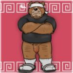  2022 anthro black_nose blush brown_body brown_fur clothing flaccid footwear fur genitals goujuyu hi_res kemono male mammal penis sandals shirt slightly_chubby solo topwear ursid 