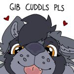  &lt;3 blep close-up darja_(character) enfield female feral fluffy headshot_portrait looking_at_viewer portrait solo sorajona sticker telegram telegram_sticker telegram_stickers text tongue tongue_out 