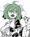  1girl ahoge animal_ears bangs belt breasts dog_ears green_eyes green_hair holding holding_microphone jacket kasodani_kyouko large_breasts limited_palette massakasama microphone navel open_clothes open_jacket open_mouth sharp_teeth short_hair simple_background solo teeth touhou underboob upper_body 