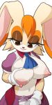  anthro areola big_areola big_breasts big_nipples bodily_fluids breasts brown_eyes clothed clothing female gloves handwear jar lactating lagomorph leporid mammal mature_anthro mature_female mikeinel navel nipples rabbit sega solo sonic_the_hedgehog_(series) vanilla_the_rabbit 