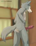  2022 absurd_res animal_genitalia animal_penis anthro beastars big_penis bodily_fluids butt canid canine canine_penis canis dripping erection fur genital_fluids genitals grey_body grey_fur hi_res knot legoshi_(beastars) lizardlars looking_at_viewer looking_back male mammal nude penis pink_penis precum precum_drip solo thick_penis vein veiny_penis white_body white_fur wolf 