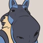  advos ambiguous_gender big_nose big_nostrils blue_body blue_fur canid canine close-up digital_media_(artwork) feral fur hi_res looking_at_viewer lucario mammal nintendo pok&eacute;mon pok&eacute;mon_(species) simple_background solo video_games 