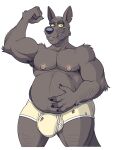  anthro anti_dev armpit_fetish armpit_hair belly big_belly body_hair bulge clothing flexing flexing_bicep hi_res kangaroo looking_at_viewer macropod male mammal marsupial mature_anthro mature_male musclegut navel nipples pops smile solo stubble torn_clothing underwear yellow_sclera 