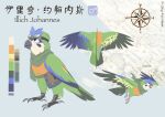  2022 4_toes absurd_res ambiguous_gender auspicious-cloud avian beak bird blue_body blue_feathers chinese_text claws english_text eyewear feathered_wings feathers feet feral flying gender_symbol goggles green_body green_feathers green_scarf hi_res illich_johannes male_(lore) male_symbol model_sheet multicolored_body multicolored_feathers open_mouth orange_body orange_feathers parrot scarf scutes solo spread_wings standing symbol tail_feathers talons text toe_claws toes wings 