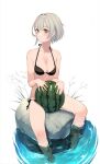  1girl absurdres bikini black_bikini blush breasts cleavage collarbone cropped_legs food fruit hair_intakes highres looking_afar lumo_1121 medium_breasts on_rock original refraction short_hair simple_background sitting solo swimsuit water watermelon 