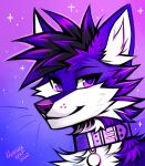  2022 absurd_res black_hir collar digital_media_(artwork) fur hi_res looking_at_viewer myarukawolf purple_eyes simple_b smile white_body white_fur 