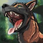  bodily_fluids canid canine canis digital_media_(artwork) digital_painting_(artwork) domestic_dog female feral fox german_shepherd happy herding_dog hi_res hybrid mammal mouth_shot nude open_mouth pastoral_dog quadruped saliva smile solo teeth tongue yawn 