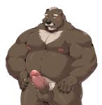  2022 absurd_res anthro balls belly big_belly black_nose blush brown_body erection facial_hair genitals hi_res humanoid_genitalia humanoid_hands humanoid_penis jumperbear kemono male mammal moobs musclegut mustache nipples overweight overweight_male penis simple_background solo ursid white_background 