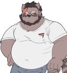  2022 anthro beard belly big_belly black_nose brown_body canid canine clothing facial_hair hi_res humanoid_hands kemono male mammal overweight overweight_male raccoon_dog shirt simple_background solo tanuki topwear white_background whitebeast20 