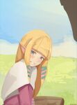  1girl absurdres bangs blonde_hair blue_eyes blush braid clenched_teeth clip_studio_paint_(medium) field hair_ornament highres long_hair looking_at_viewer makinoatorie nintendo pointy_ears princess_zelda sitting sky smile solo teeth the_legend_of_zelda the_legend_of_zelda:_skyward_sword 