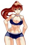  absurdres brown_eyes brown_hair dead_or_alive high_ponytail highres kasumi_(doa) long_hair midriff shorts white_background zipskyblue 