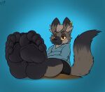  5_toes absurd_res alternate_version_at_source anthro black_body black_fur bottomwear canid canine canis clothing electricsnowfox feet foot_focus fur grey_body grey_fur hi_res looking_at_viewer male mammal pants pawpads soles solo toes topwear wolf 