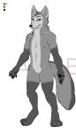  anthro biped canid canine canis cooltexan57 digital_media_(artwork) fox fur girly grey_body grey_fur looking_at_viewer male mammal model_sheet multicolored_body multicolored_fur nude simple_background smile solo standing taylor_(cooltexan57) 