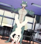  anthro anthro_on_anthro anthro_penetrated anthro_penetrating anthro_penetrating_anthro beastars canid canine canis caught classroom cock_hanging female female_penetrated fur genitals haru_(beastars) hi_res knot_hanging knotting lagomorph larger_male legoshi_(beastars) leporid male male/female male_penetrating malicekira mammal nude penetration predator/prey public pussy rabbit school size_difference upside_down vaginal vaginal_penetration white_body white_fur wolf worried 