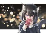  1girl animal_ears beret black_hair black_jacket blurry blush bokeh box braid cat_ears cat_girl cat_tail commentary confession covering_mouth depth_of_field facing_viewer flower gift gift_box hair_flower hair_ornament hairpin hat hatsuran highres holding holding_gift hoshina_suzu jacket letterboxed medium_hair multicolored_eyes outside_border pink_eyes purple_eyes scarf shy side_braid sideways_glance solo star_(symbol) star_hair_ornament sweater tail valentine wactor_production white_flower white_sweater 