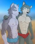  abs anthro beach beastars biceps black_nose blue_clothing bulge butt canid canine canis claws clothing duo ears_up eyebrows fur grey_body grey_fur hair hi_res legoshi_(beastars) male male/male mammal muscular muscular_male navel nintendo pecs red_clothing seaside shirtless shirtless_anthro shirtless_male simple_background speedo star_fox swimwear underwear victory_clint video_games wolf wolf_o&#039;donnell 