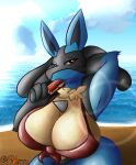  absurd_res anthro beach big_breasts blue_body blue_fur bodily_fluids bra breasts butt canid canine clothed clothing digital_media_(artwork) female food fur hi_res huge_breasts innuendo licking looking_at_viewer lucario mammal neksu nintendo pok&eacute;mon pok&eacute;mon_(species) popsicle sea seaside sky smile solo sucking tongue tongue_out underwear video_games water 