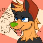  absurd_res anthro blue_eyes cafet&#039;zin_(artist) canid canine canis domestic_dog fur green_nose grey_body grey_fur hair hi_res male mammal neck_tuft pink_tongue portrait signature simple_background simple_coloring sketch solo tan_body tan_fur tan_hair tongue tuft 