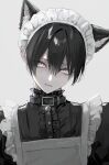  1boy 81kaia animal_ears apron bell bishounen black_hair cat_boy cat_ears collar crossdressing grey_background grey_eyes head_tilt highres looking_at_viewer maid maid_apron maid_headdress male_focus neck_bell original short_hair solo 