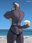  anthro back_muscles beach biceps big_muscles black_nose butt canid canine canis clothing grey_body hi_res jockstrap male mammal muscular muscular_male nintendo seaside shugggie solo star_fox underwear video_games wolf wolf_o&#039;donnell 