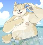  2022 anthro belly big_belly black_nose blush bottomwear brown_body brown_fur canid canine canis clothing cloud domestic_dog fugashi4090 fur hi_res humanoid_hands kemono male mammal moobs navel nipples one_eye_closed outside overweight overweight_male shorts solo swimwear water 
