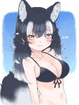  1girl absurdres animal_ears arm_at_side bikini black_bikini black_hair blue_eyes blush closed_mouth cthun_n front-tie_bikini front-tie_top grey_wolf_(kemono_friends) groin heterochromia highres kemono_friends long_hair multicolored_hair navel out-of-frame_censoring signature simple_background slight_frown solo stomach swimsuit tail twitter_username white_hair wolf_ears wolf_girl wolf_tail yellow_eyes 