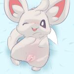  &lt;3 &lt;3_censor anthro censored female genitals grey_body hi_res looking_at_viewer minccino myrotiggy nintendo pok&eacute;mon pok&eacute;mon_(species) pussy solo video_games 