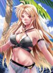  1girl beach bikini black_bikini blonde_hair blush breasts cleavage commentary day fate_testarossa large_breasts long_hair looking_at_viewer lyrical_nanoha mahou_shoujo_lyrical_nanoha_strikers navel open_mouth palm_tree red_eyes sarong sky smile solo sougetsu_izuki swimsuit tree very_long_hair water 