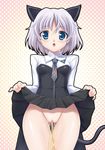  animal_ears fujirin pee peeing pussy sanya_v_litvyak skirt skirt_lift solo strike_witches tail thigh_gap world_witches_series 