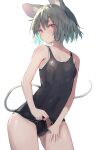  1girl absurdres animal_ears blush breasts collarbone contrapposto covered_navel cowboy_shot grey_hair highres looking_at_viewer mamemochi mouse_ears mouse_tail nazrin one-piece_swimsuit red_eyes school_swimsuit school_swimsuit_flap short_hair simple_background small_breasts solo swimsuit tail touhou white_background 