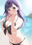  1girl absurdres aqua_eyes bangs beach bikini black_bikini blurry blurry_background blush braid breasts cleavage clenched_hand closed_mouth commentary_request day hand_to_own_mouth highres long_hair looking_at_viewer materu_(2532) navel ocean original outdoors purple_hair solo standing summer swimsuit upper_body 