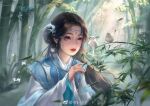  1girl bamboo bamboo_forest bird black_hair blue_dress chick doupo_cangqiong dress earrings falling_leaves forest hair_ornament in_xiao7 jewelry kid leaf long_hair nature shiny shiny_hair solo teeth vegetation yun_yun_(doupo_cangqiong) 