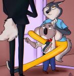  anthro arctic_wolf aronair bottomwear bow_tie buster_moon canid canine canis clothing door female group hi_res humor illumination_entertainment inside jimmy_crystal koala long_legs male mammal marsupial pants porsha_crystal sing_(movie) size_difference suit trio vombatiform wolf 