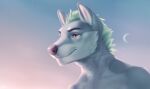  2022 anthro canid canine day detailed_background digital_media_(artwork) eyebrows eyelashes male mammal moon orange_eyes outside sky smile smileeeeeee solo 