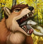  anthro canid canine canis digital_media_(artwork) duo feral fur hi_res lemondeer male male/male mammal open_mouth oral_vore sergal size_difference smile tongue vore wolf 