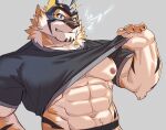  abs anthro clothed clothing clothing_lift felid fur lifewonders live-a-hero male mammal mask muscular muscular_anthro muscular_male nipples oaks16 pantherine pecs ryekie_(live-a-hero) shirt shirt_lift solo striped_body striped_fur stripes superhero tiger topwear video_games 