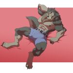  abs anthro biceps bulge canid canine canis claws clothed clothing fangs fur grey_body grey_fur hi_res looking_at_viewer lying male mammal muscular muscular_anthro muscular_male nipples pecs solo teeth topless tuta wolf yellow_eyes 