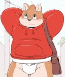  2022 anthro asian_clothing biped black_nose blush brown_body canid canine canis clothing domestic_dog east_asian_clothing hoodie japanese_clothing kemono male mammal mawashi meg_hoi outside overweight overweight_male solo topwear 