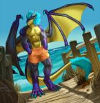  anthro beach behemoth89 boardwalk clothing dragon fence grass hi_res looking_at_viewer male muscular muscular_male plant sand scalie sea seaside shore solo solo_focus swimming_trunks swimwear water western_dragon wings 