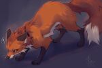  2022 4_toes ambiguous_gender black_nose canid canine digital_media_(artwork) feet feral fluffy fluffy_tail fox fur hi_res mammal orange_body orange_fur reysi solo standing toes white_body white_fur yellow_eyes 